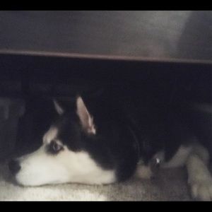 Meet your Posher, Kim